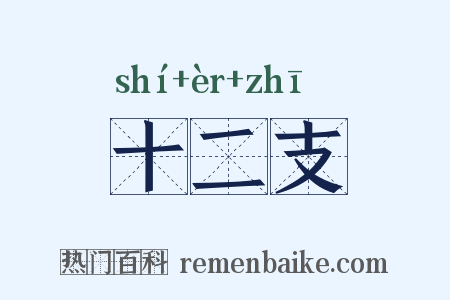 十二支是什么意思的图片